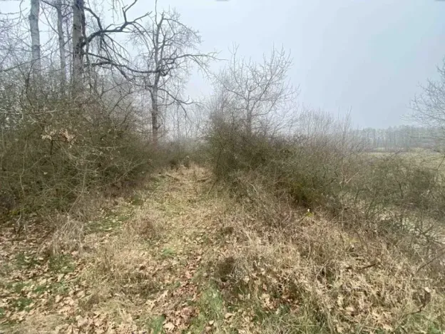 Dražba pole, Slatina, 13059 m2