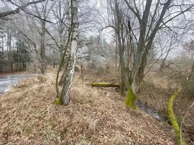 Dražba pole, Slatina, 13059 m2