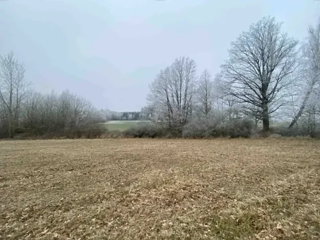 Dražba pole, Slatina, 13059 m2