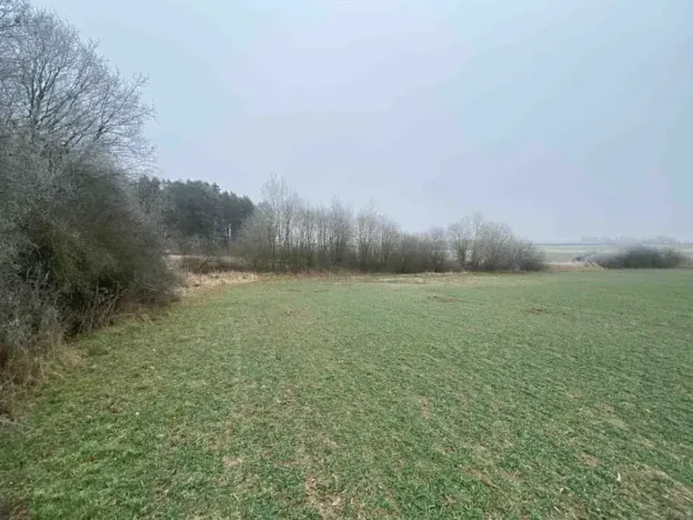 Dražba pole, Slatina, 13059 m2