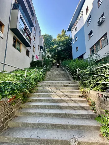 Pronájem bytu 2+kk, Praha - Žižkov, Jeseniova, 55 m2