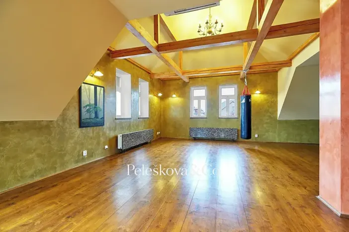 Pronájem bytu 4+kk, Praha - Bubeneč, Havanská, 177 m2