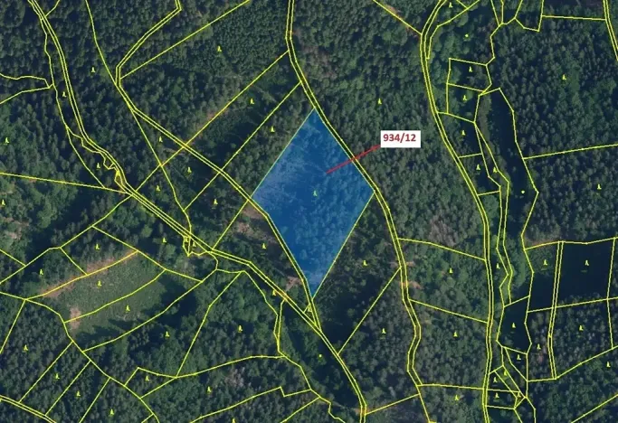 Dražba lesa, Jílové u Držkova, 10166 m2
