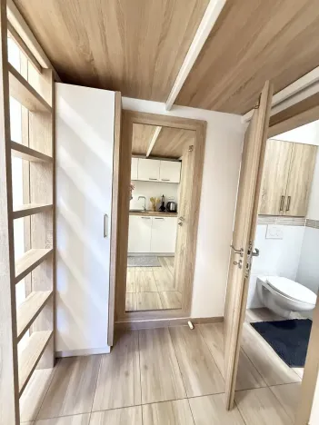 Pronájem bytu 1+kk, Opava - Předměstí, Alšova, 15 m2