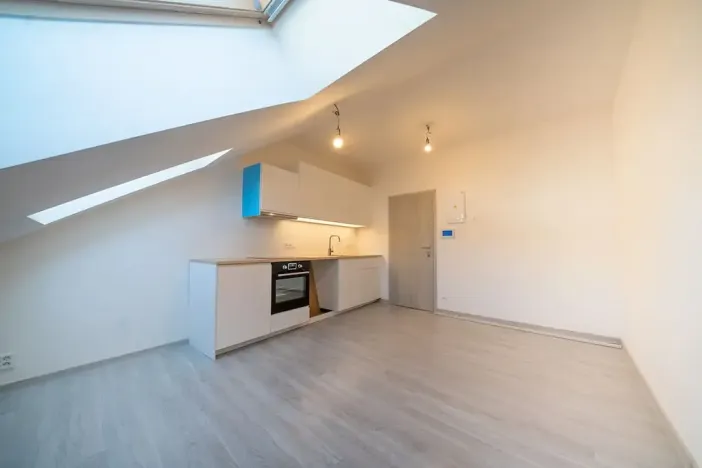 Prodej bytu 1+kk, Praha - Vršovice, Košická, 24 m2