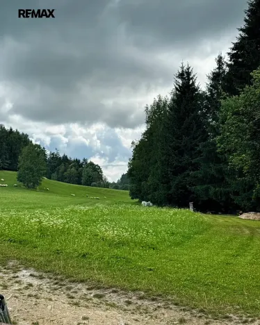 Prodej bytu 3+kk, Vikantice, 57 m2