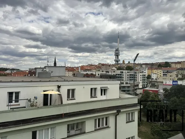 Pronájem bytu 1+kk, Praha - Žižkov, Seifertova, 45 m2