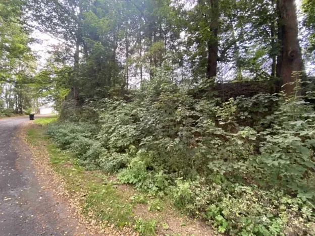 Dražba pozemku, Jindřichovice, 272 m2