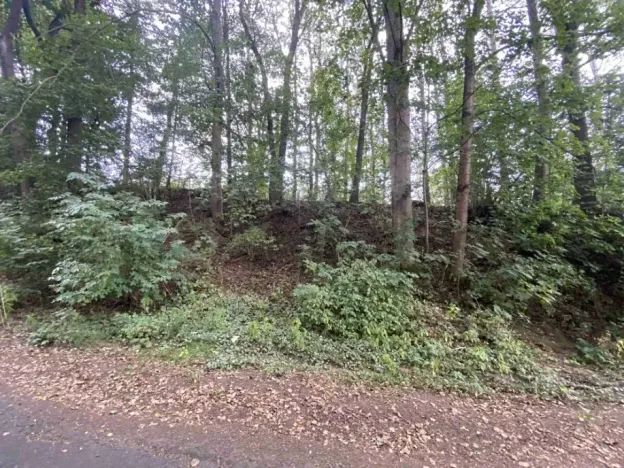 Dražba pozemku, Jindřichovice, 272 m2