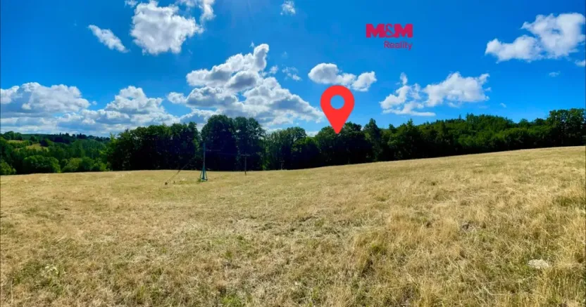 Prodej lesa, Hranice - Hranice IX-Uhřínov, 5050 m2