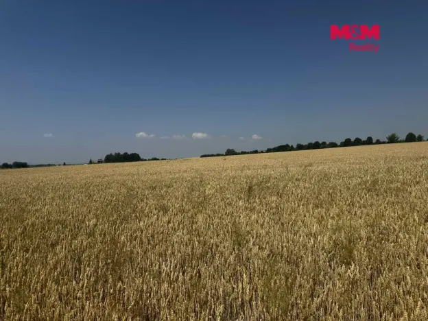 Prodej pole, Město Albrechtice, 224621 m2