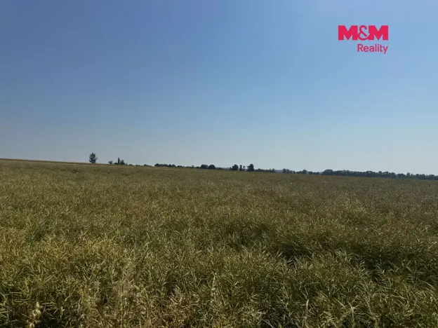 Prodej pole, Město Albrechtice, 224621 m2