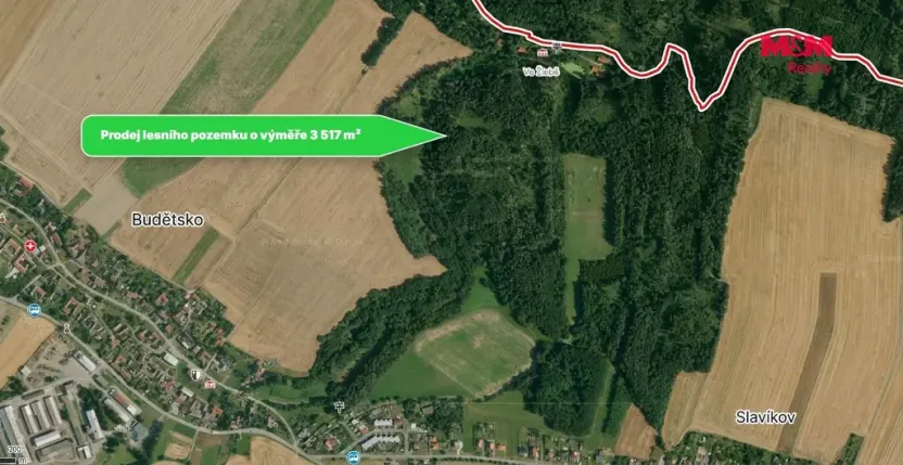 Prodej lesa, Budětsko, 3517 m2