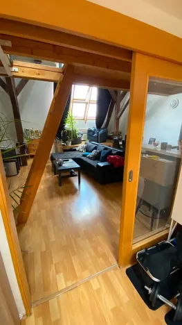 Pronájem bytu 3+kk, Brno, Jana Uhra, 136 m2