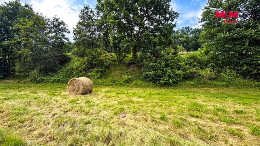 Prodej louky, Starý Šachov, 2065 m2