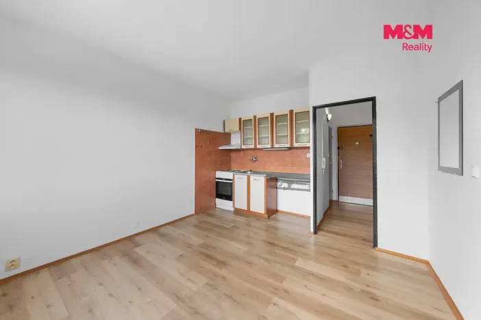 Prodej bytu 1+1, Děčín - Děčín VI-Letná, U Tvrze, 37 m2