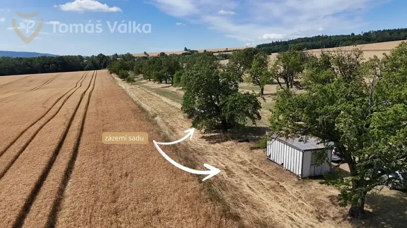 Prodej sadu/vinice, Troubky-Zdislavice, 19632 m2