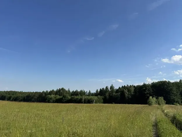 Prodej lesa, Jestřebí, 24490 m2