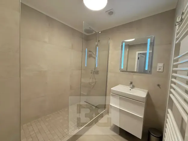 Pronájem bytu 2+kk, Praha - Žižkov, Biskupcova, 51 m2