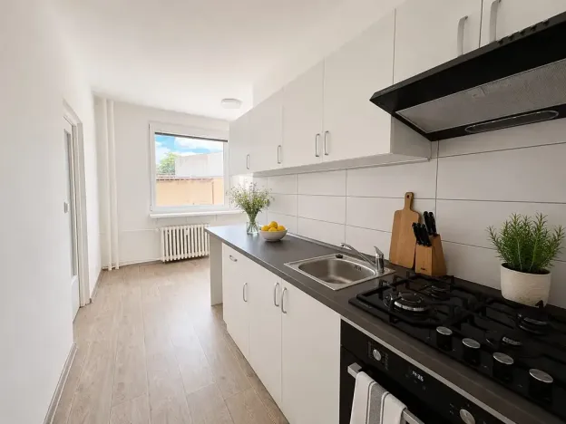 Pronájem bytu 3+1, Litvínov, Rooseveltova, 64 m2
