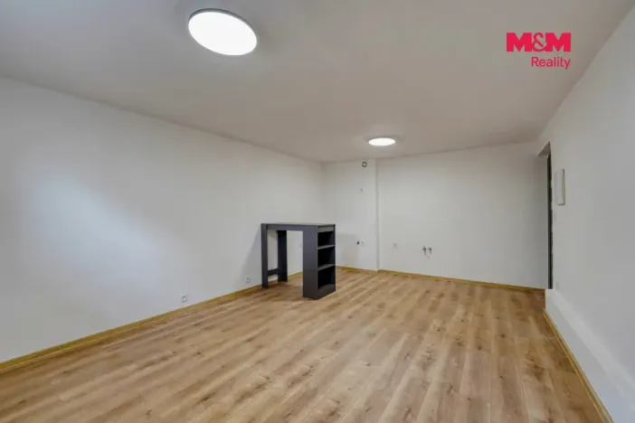 Prodej bytu 1+kk, Plzeň - Východní Předměstí, Ořechová, 26 m2