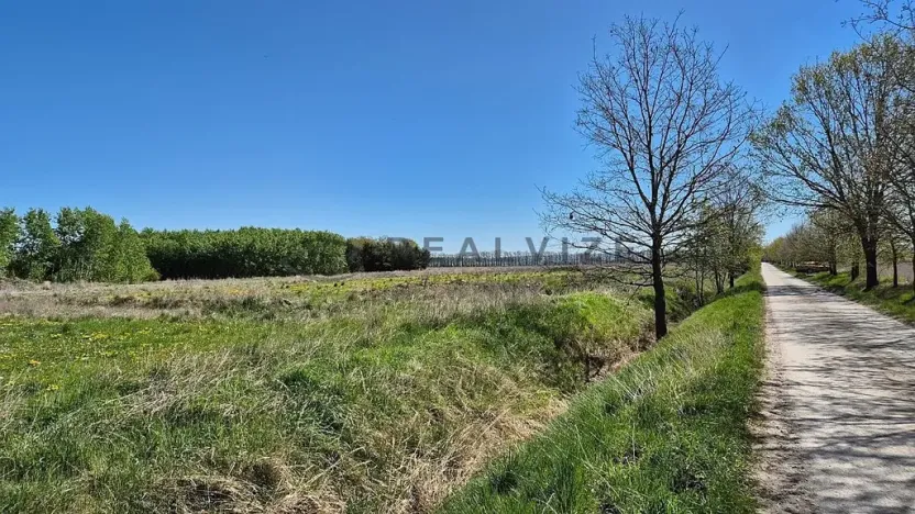 Prodej pozemku pro bydlení, Čejkovice, 900 m2