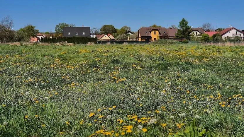 Prodej pozemku pro bydlení, Čejkovice, 900 m2