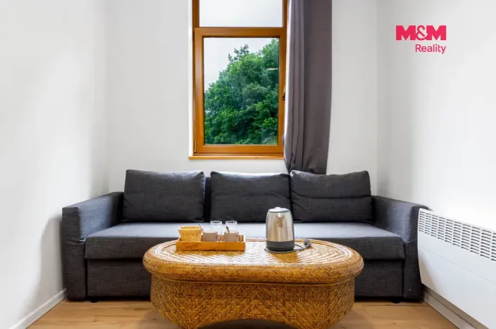 Prodej bytu 1+kk, Horní Lhota, 20 m2
