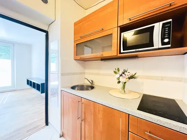 Pronájem bytu 1+kk, Brno, Jedovnická, 20 m2
