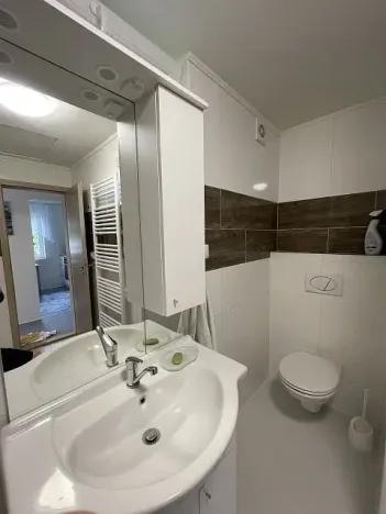 Pronájem chaty, Petříkov, 55 m2