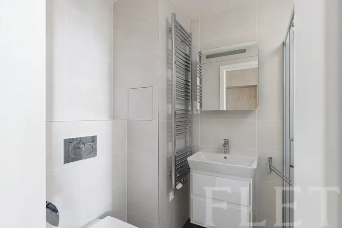 Pronájem bytu 1+kk, Praha - Řeporyje, Haenkeho, 31 m2