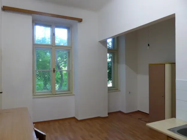Pronájem bytu 1+1, Brno - Ponava, 75 m2