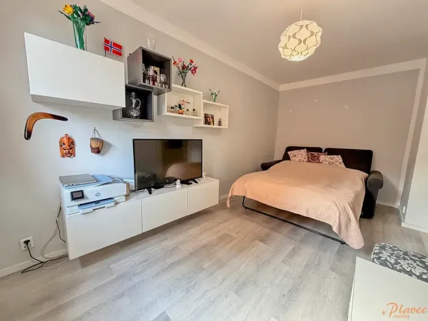 Prodej bytu 2+kk, Kralupy nad Vltavou, Přemyslova, 50 m2
