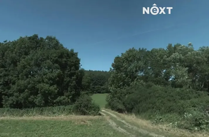 Prodej louky, Dobrkovice, 7192 m2