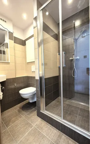 Prodej bytu 1+kk, Praha - Karlín, Nekvasilova, 29 m2