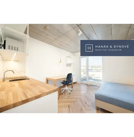 Pronájem bytu 1+kk, Brno, Chaloupkova, 23 m2