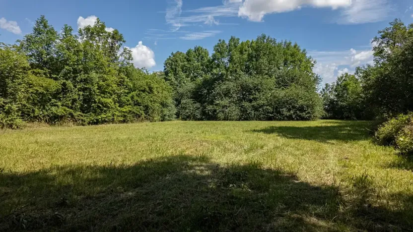 Prodej zemědělské usedlosti, Dolní Roveň, 200 m2