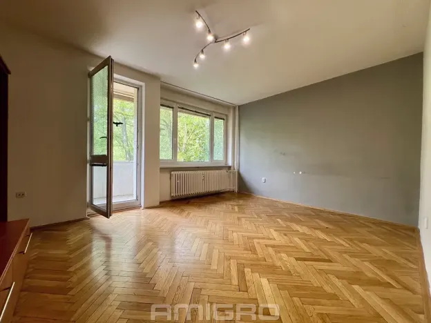 Prodej bytu 2+1, Brno, Podlesí, 53 m2