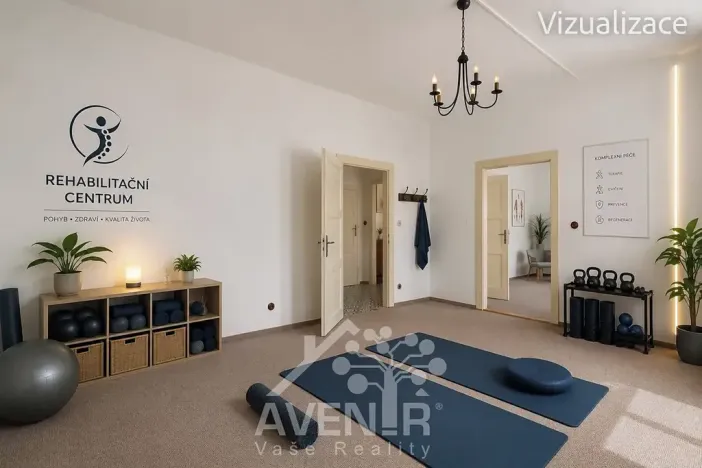 Prodej obchodního prostoru, Kroměříž, Žižkova, 244 m2
