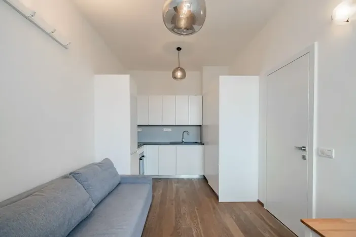 Pronájem bytu 1+1, Praha - Žižkov, Řehořova, 32 m2