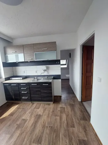 Pronájem bytu 1+1, Praha - Kobylisy, Služská, 46 m2
