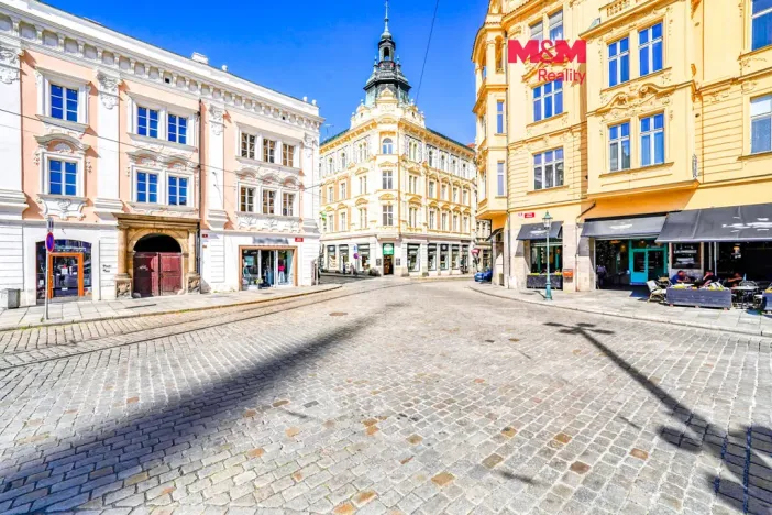 Pronájem bytu 2+1, Plzeň - Vnitřní Město, Rooseveltova, 77 m2