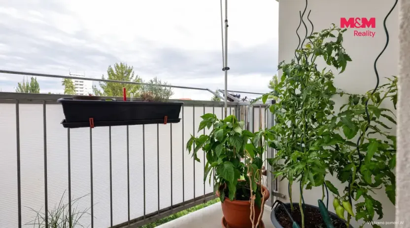 Prodej bytu 3+1, Olomouc - Nová Ulice, Mozartova, 65 m2