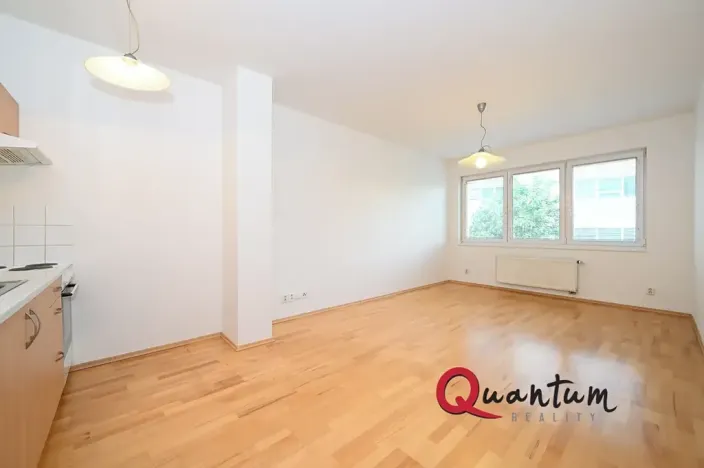 Pronájem bytu 1+kk, Praha - Michle, Jemnická, 30 m2
