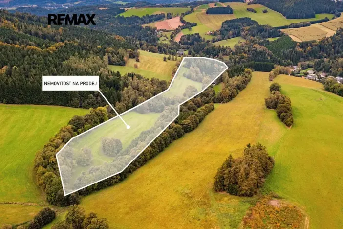 Prodej louky, Orličky, 61702 m2