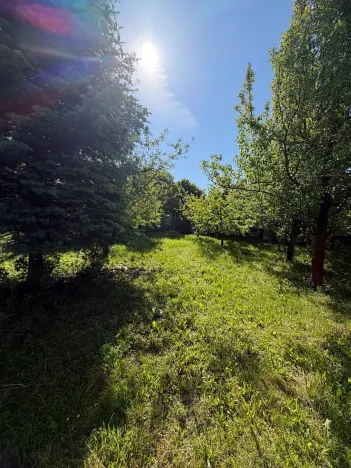 Prodej chaty, Kostelec u Holešova, 17 m2