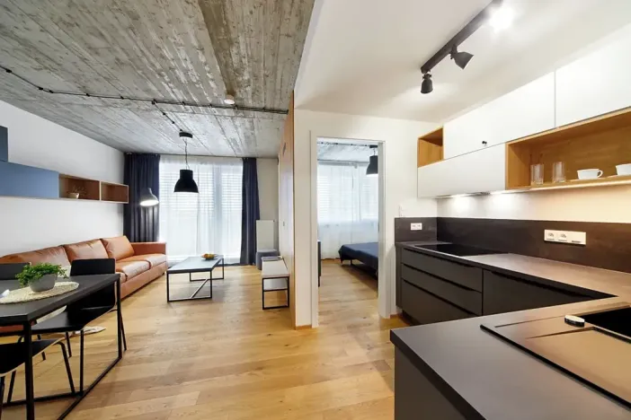 Pronájem bytu 2+kk, Brno, Cejl, 47 m2