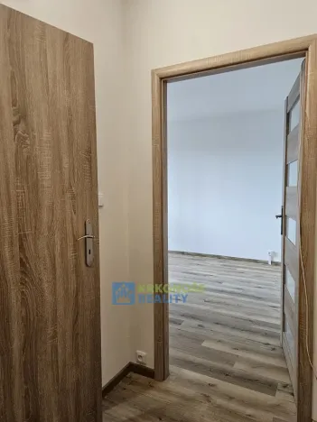 Pronájem bytu 1+kk, Praha - Podolí, Kaplická, 25 m2