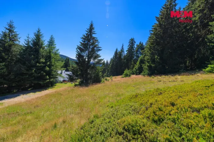 Prodej pozemku pro bydlení, Nové Hamry, 776 m2