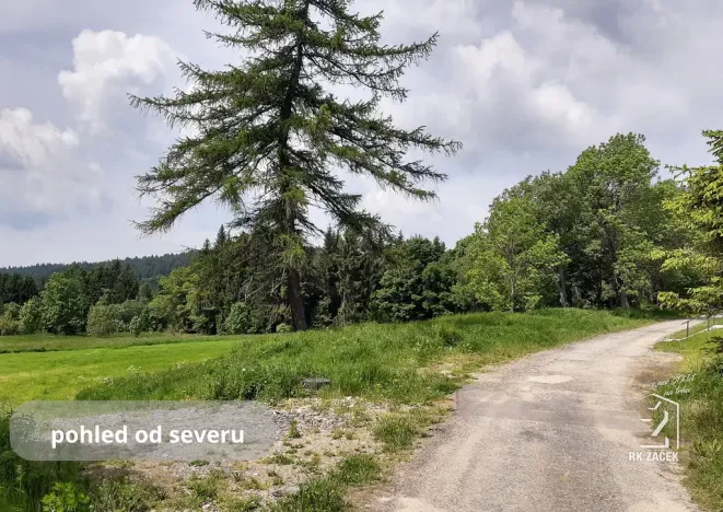 Prodej pozemku, Přední Výtoň, Svatý Tomáš, 2479 m2